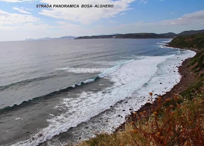 安泰住宿加早餐旅馆 住宿加早餐酒店 Padria